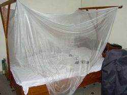 蚊帳とベッド